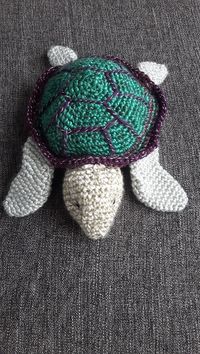 schildpad